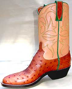 Mens Cowboy Boots