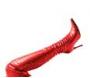 Kinky or Fashion Boots